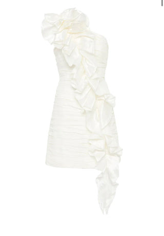 Adelia Ruffle Mini Dress